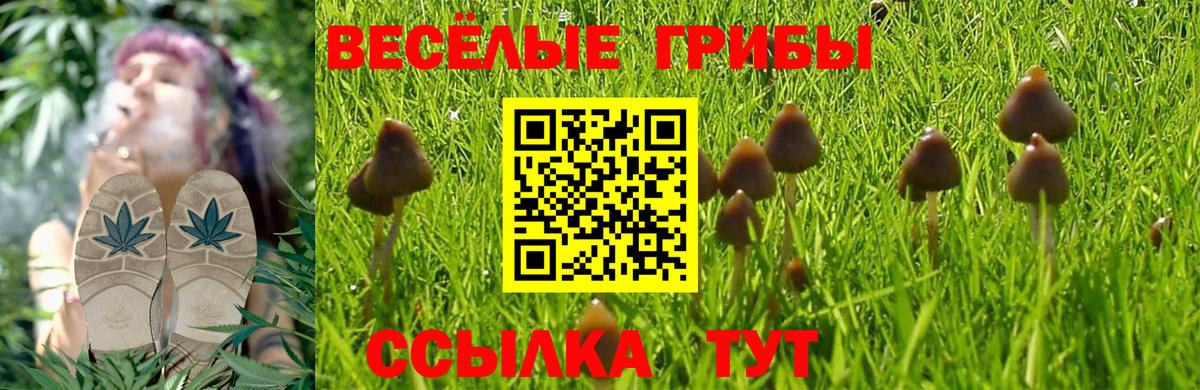 Ипатово  Псилоцибиновые грибы Psilocybine cubensis  Вход с VPN 
